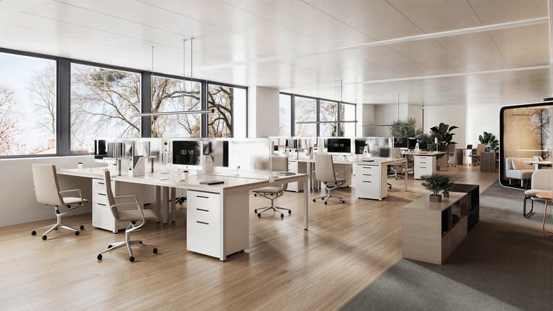 Uffici di 800 m2 in affitto a Losanna (5)
