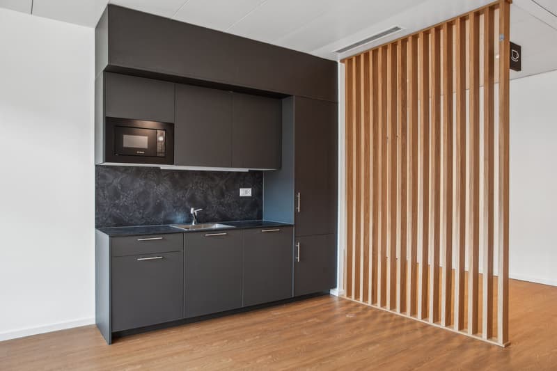 Offices for rent from 107 m2 on the Terre Bonne site (3)