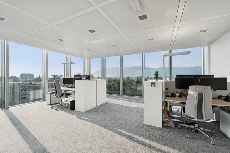 Lancy - bureaux modernes aménagés (4)