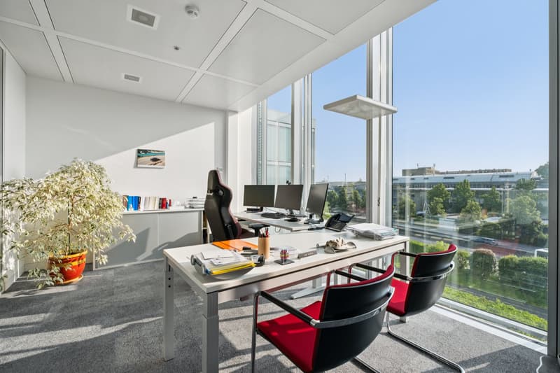 Lancy - modern fitted offices (6)