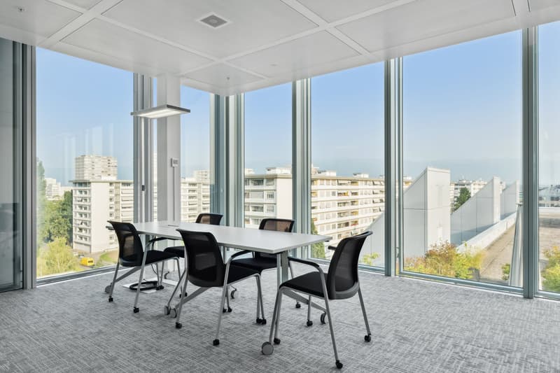 Lancy - modern fitted offices (3)