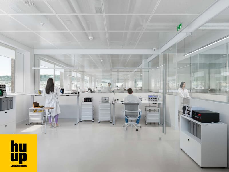 Uffici e laboratori divisibili da 350 m2 in affitto a Ecublens (4)