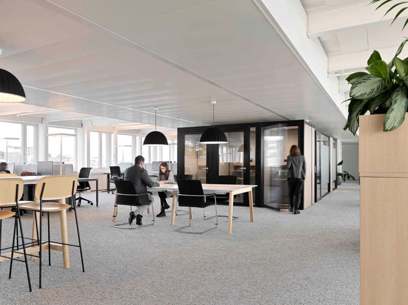 Magnificent office spaces with lake view for rent in Lausanne (2)