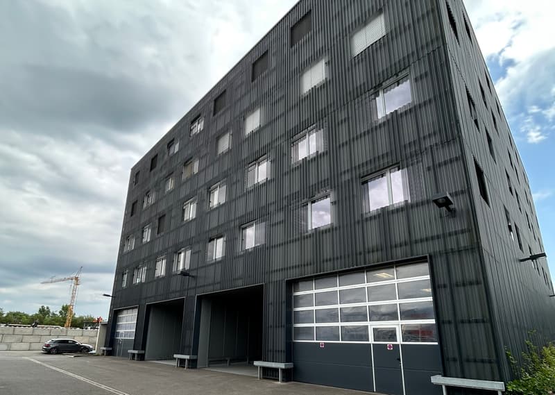 Surfaces mixtes à louer à Satigny (1)
