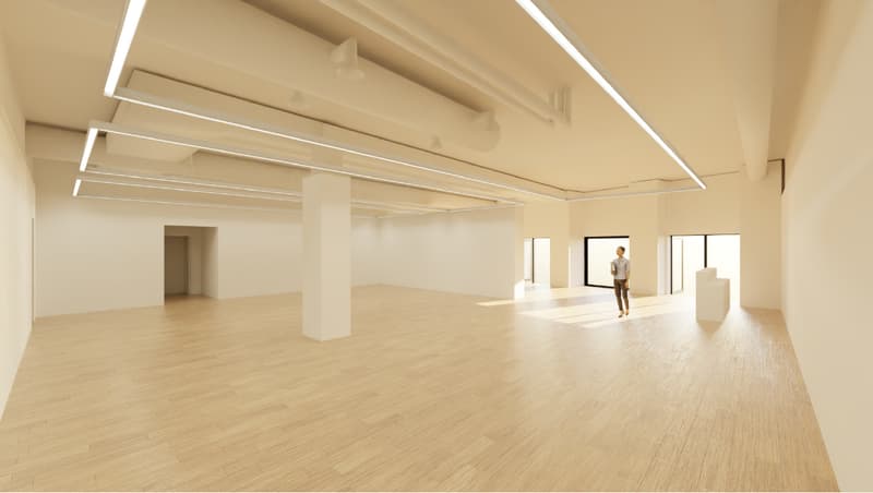 Surface commerciale dans un bâtiment historique du centre-ville Genevois (3)