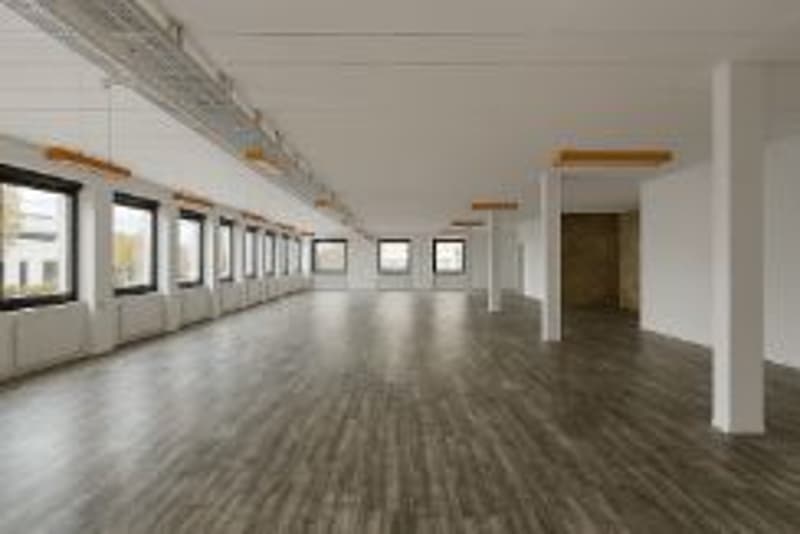 Mischflächen zur Miete - Satigny - Ab 200 m2 (2)