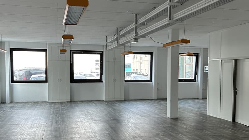 Mischflächen zur Miete - Satigny - Ab 200 m2 (3)