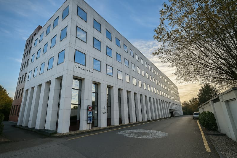 Mischflächen zur Miete - Satigny - Ab 200 m2 (1)