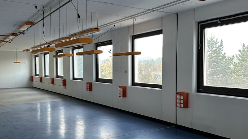 Mischflächen zur Miete - Satigny - Ab 200 m2 (5)