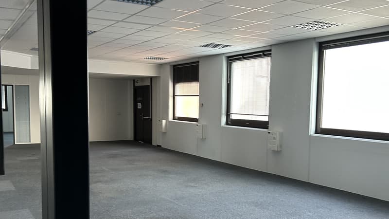 Mischflächen zur Miete - Satigny - Ab 200 m2 (6)
