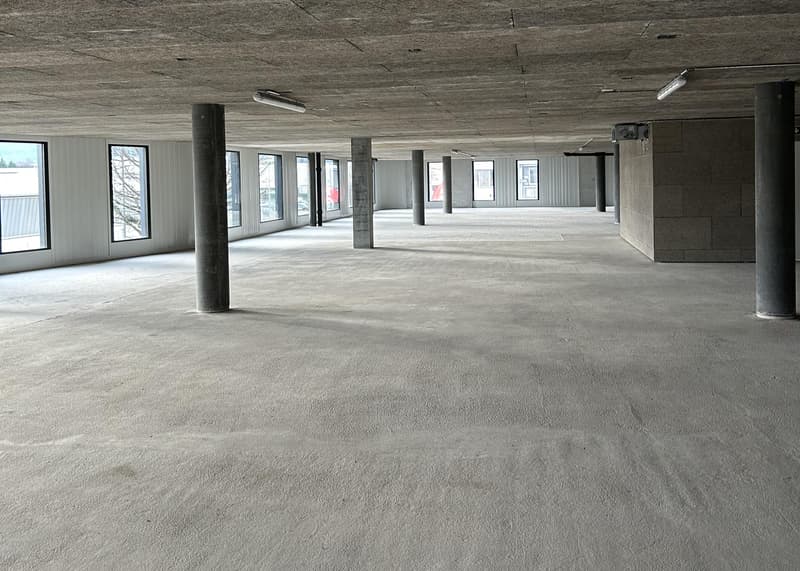 Administrative or light industrial space for rent - Meyrin - From 180 m2 (2)