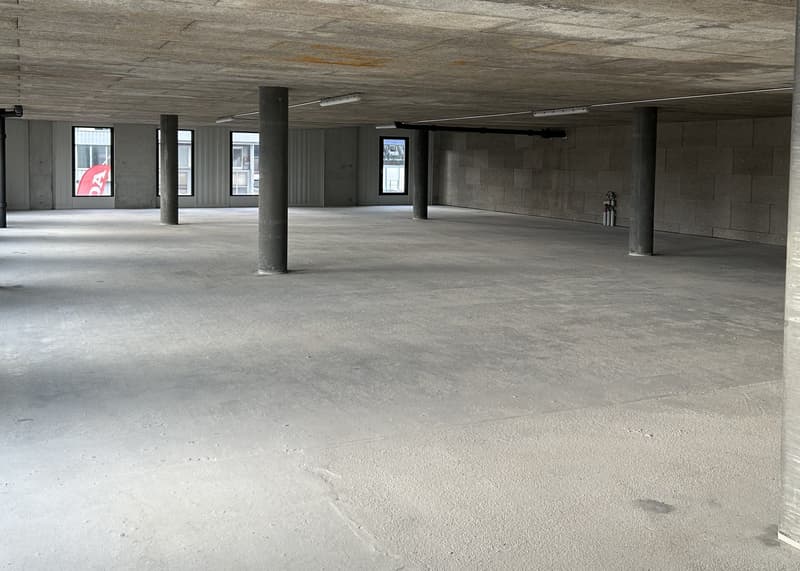 Administrative or light industrial space for rent - Meyrin - From 180 m2 (3)