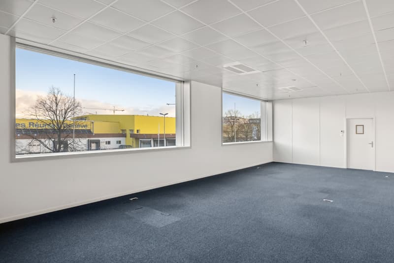 Superficie mista in affitto - Plan-les-Ouates - Da 381 m2 - Edificio moderno (8)