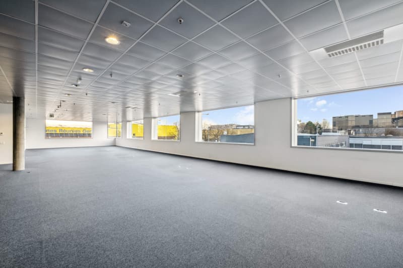 Superficie mista in affitto - Plan-les-Ouates - Da 381 m2 - Edificio moderno (7)