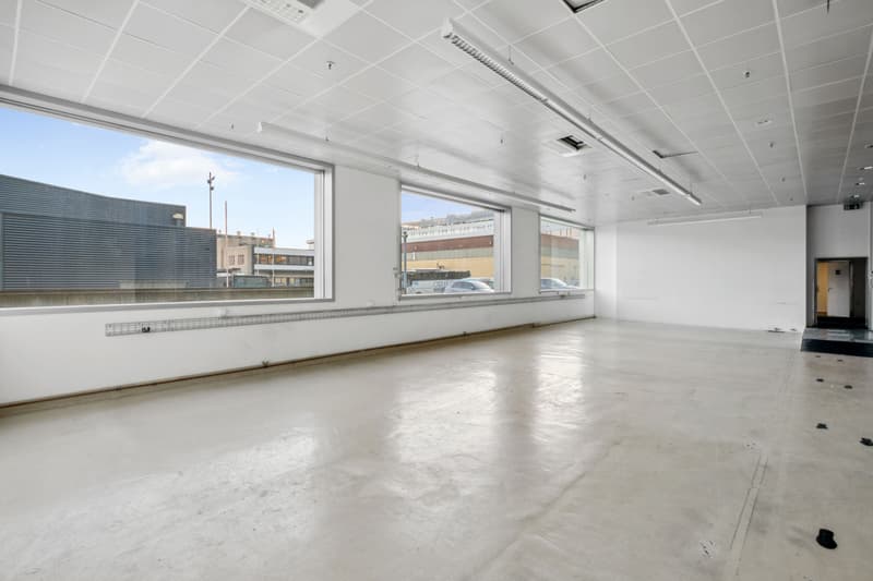 Superficie mista in affitto - Plan-les-Ouates - Da 381 m2 - Edificio moderno (5)