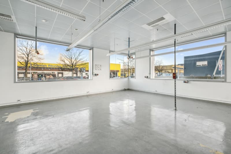 Superficie mista in affitto - Plan-les-Ouates - Da 381 m2 - Edificio moderno (6)
