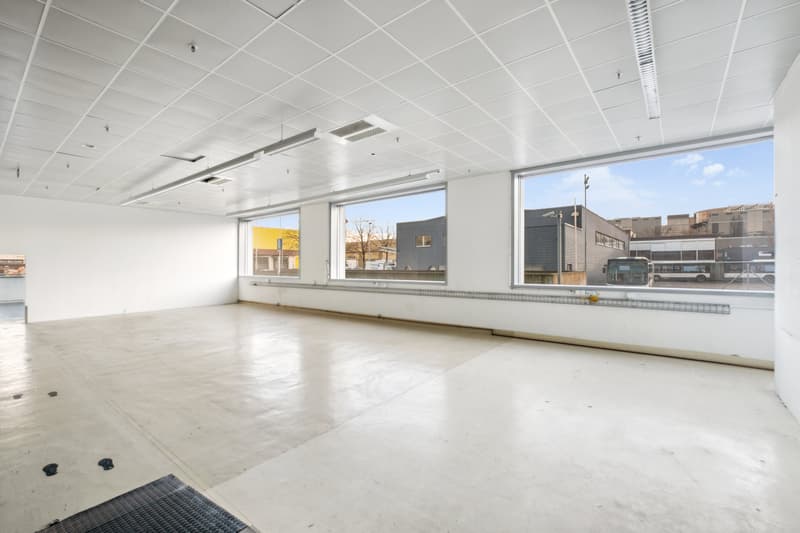 Superficie mista in affitto - Plan-les-Ouates - Da 381 m2 - Edificio moderno (4)