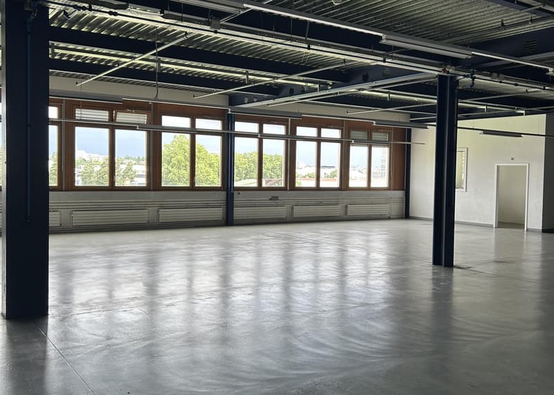 Industrial and administrative surfaces for rent - Carouge (Stade area) - From 103 m2 (4)