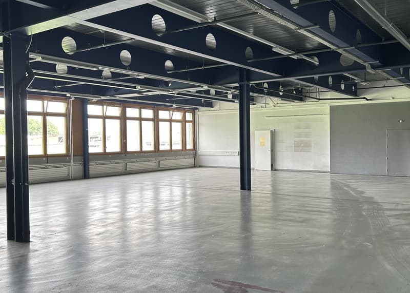 Industrial and administrative surfaces for rent - Carouge (Stade area) - From 103 m2 (5)