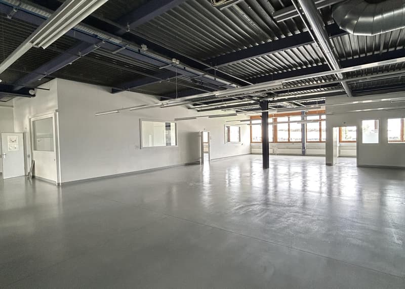 Industrial and administrative surfaces for rent - Carouge (Stade area) - From 103 m2 (3)