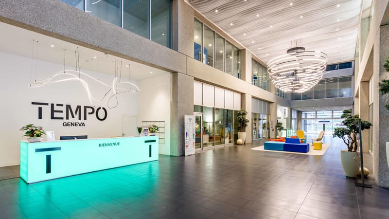 Superficie disponibile in un edificio recente di alta qualità - Plan-les-Ouates - Da 250 m2 (2)