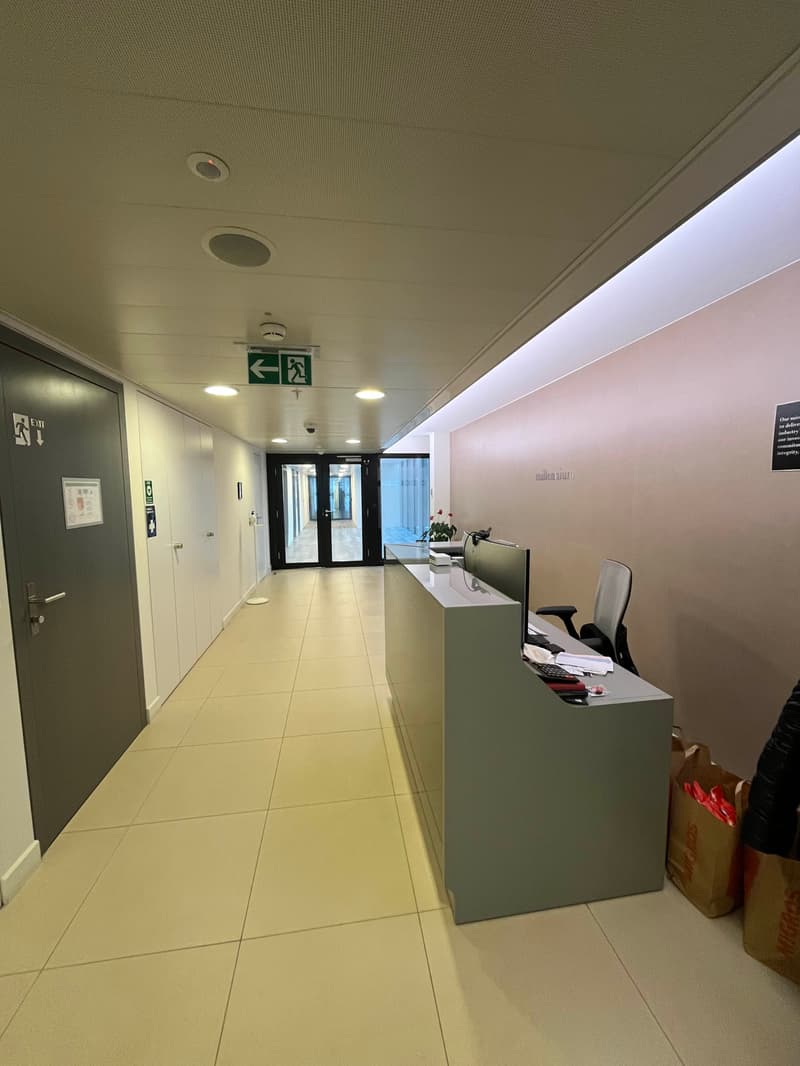 Uffici di alta gamma – Rue du Rhône in un edificio rappresentativo (5)