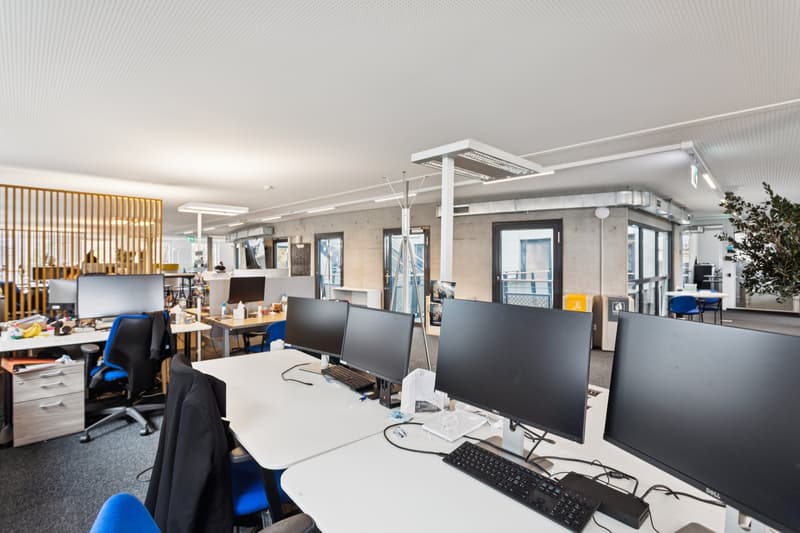 Independent building for rent with services within a campus, international district in Geneva. (6)