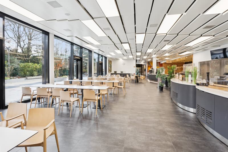 Independent building for rent with services within a campus, international district in Geneva. (3)