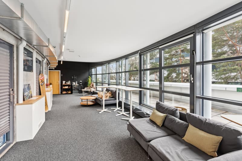 Independent building for rent with services within a campus, international district in Geneva. (7)