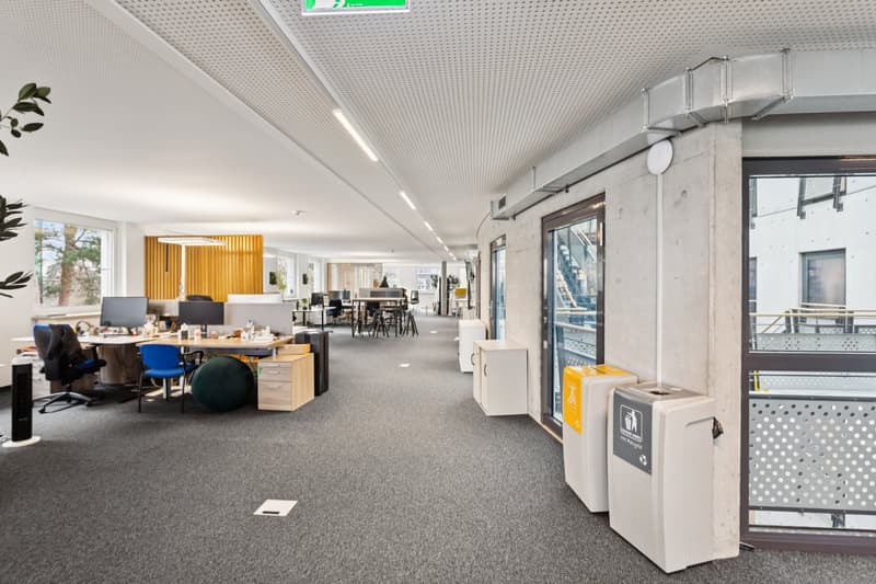 Independent building for rent with services within a campus, international district in Geneva. (4)