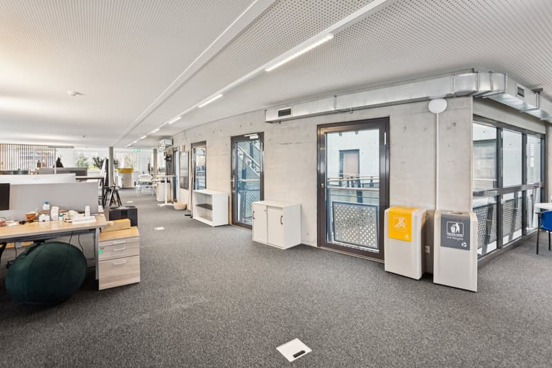 Independent building for rent with services within a campus, international district in Geneva. (5)