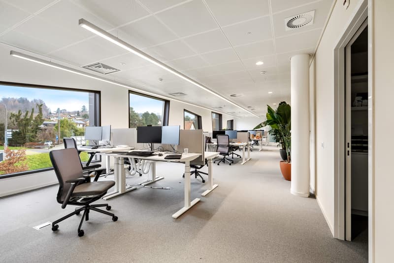 Offices for rent - Biopôle - divisible with lake view (2)