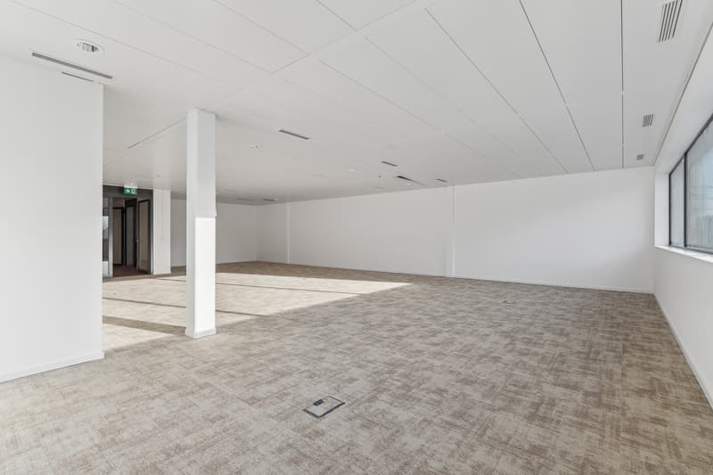 Offices equipped - Terre-Bonne in Eysins - modern and flexible building (5)