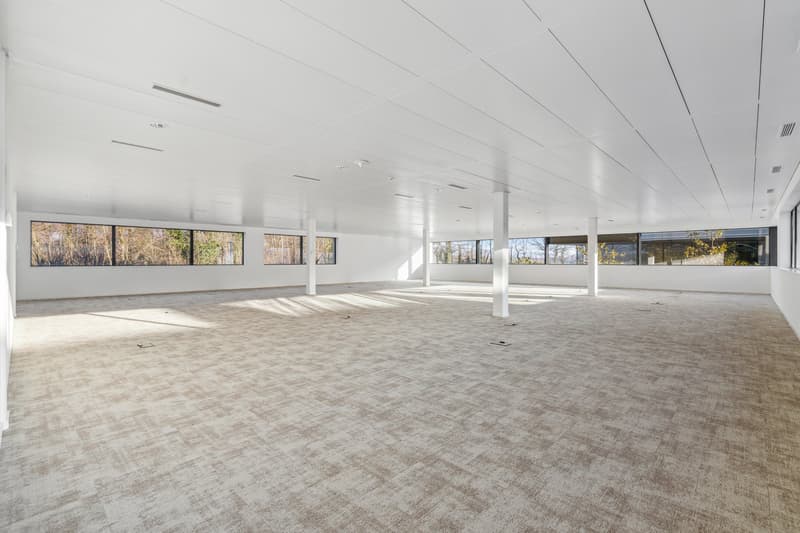 Equipped offices - Terre-Bonne in Eysins - modern and flexible building (8)