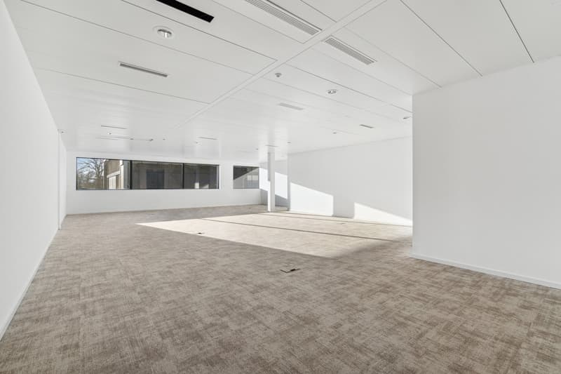 Equipped offices - Terre-Bonne in Eysins - modern and flexible building (4)