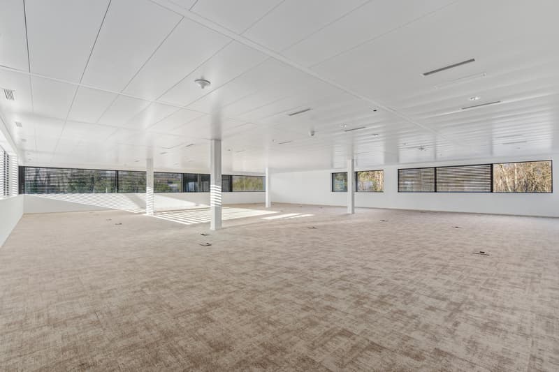 Equipped offices - Terre-Bonne in Eysins - modern and flexible building (6)