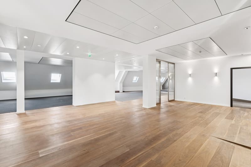 A louer au centre ville de Genève, surface de bureaux aménagée (4)