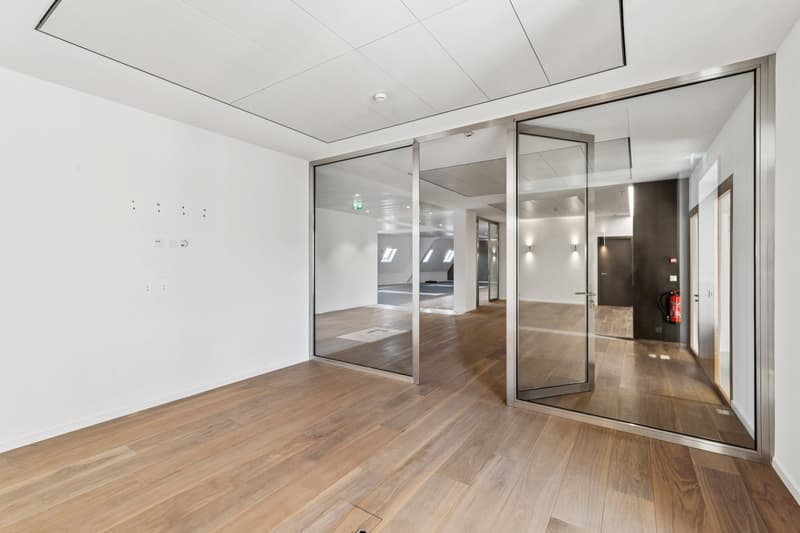 A louer au centre ville de Genève, surface de bureaux aménagée (7)