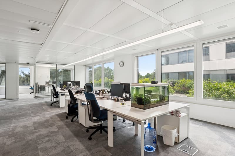 Surface de bureaux à louer de 266 m2 à Lausanne (2)