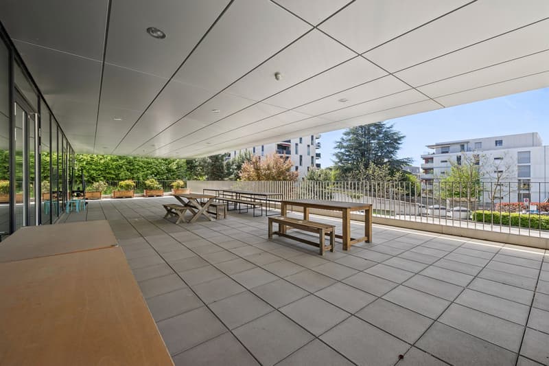 Superficie di uffici in affitto a Mont-sur-Lausanne (4)
