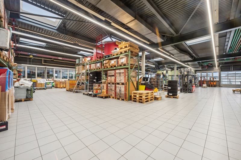 Opportunità eccezionale a Satigny 1'940 m² di superficie industriale e di stoccaggio (2)