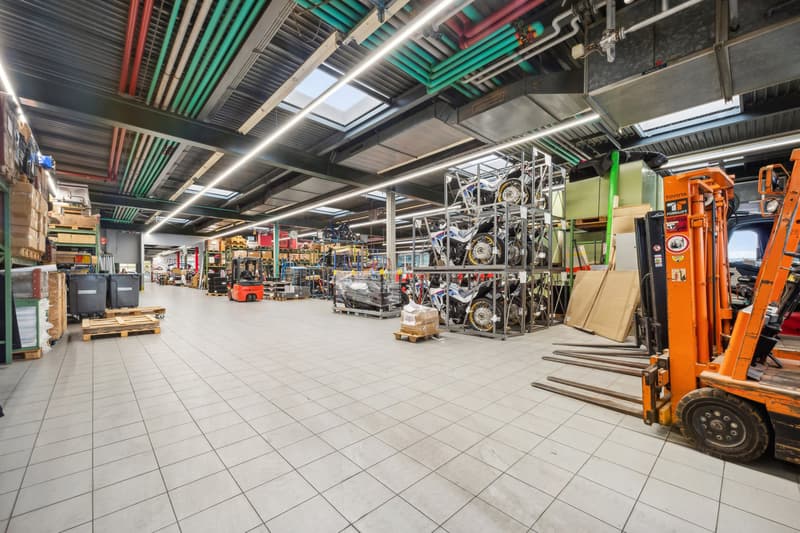 Opportunità eccezionale a Satigny 1'940 m² di superficie industriale e di stoccaggio (4)