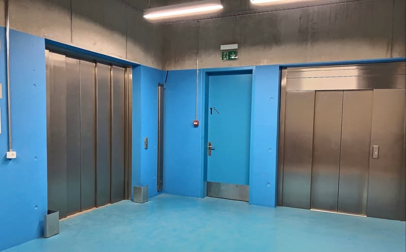 Aussergewöhnliche Gelegenheit in Satigny - Vielseitige Fläche mit Ladekran-Zugang (5)