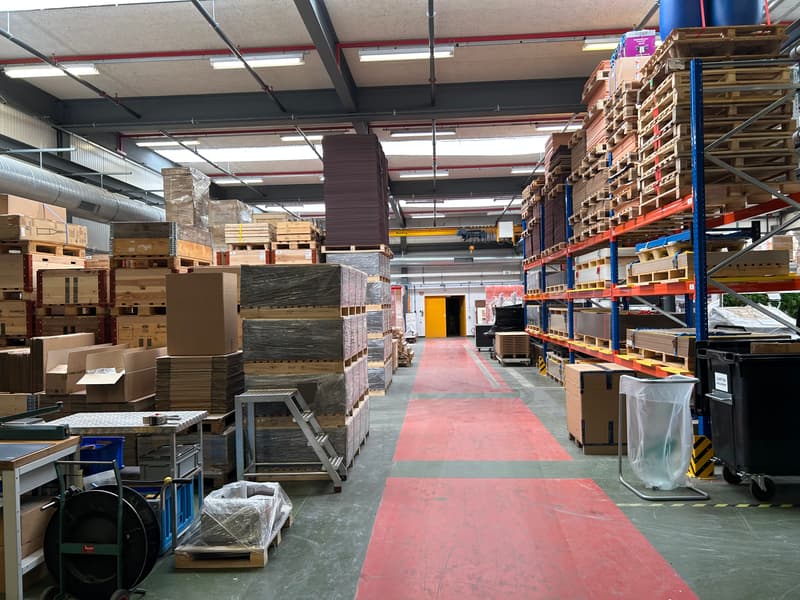 Hallen zu vermieten - Satigny - Ab 865,5 m2 (1)