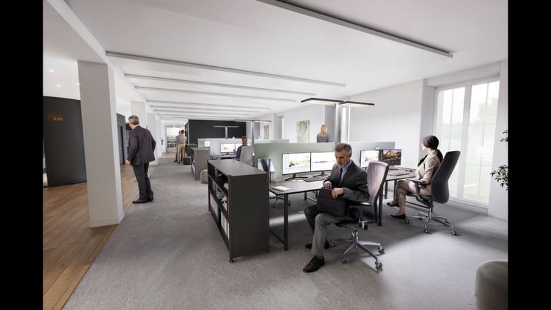 Offices for rent in an iconic building in the center of Geneva (5)