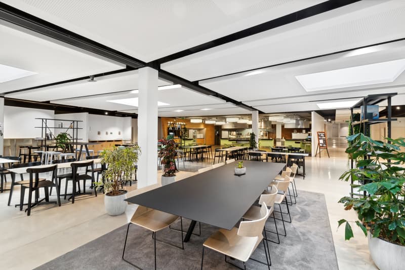 Bureaux de prestige à louer - avenue de Rhodanie à Lausanne - 256m2 (4)