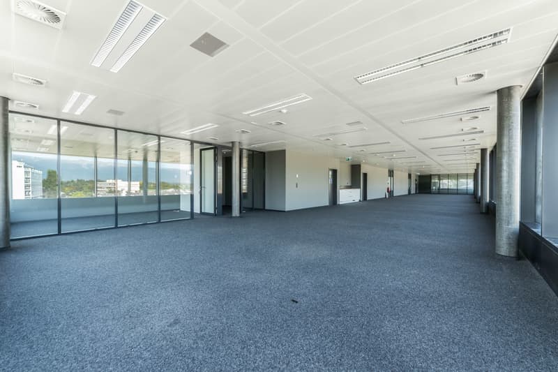 A louer, bureaux à Genève proche aéroport (6)