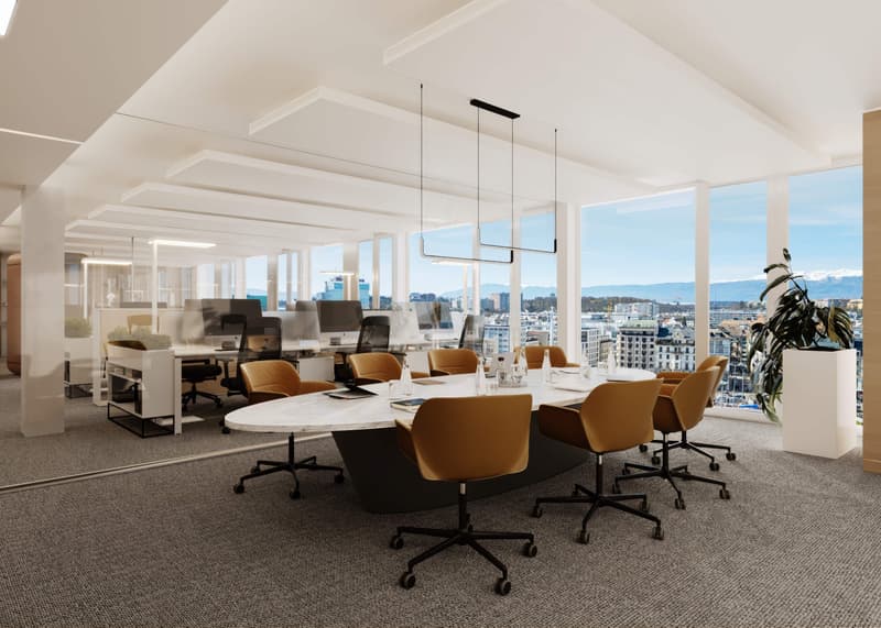 Bureaux à louer Genève Plainpalais | 266 à 4'000 m² | Rénovés et efficents (4)