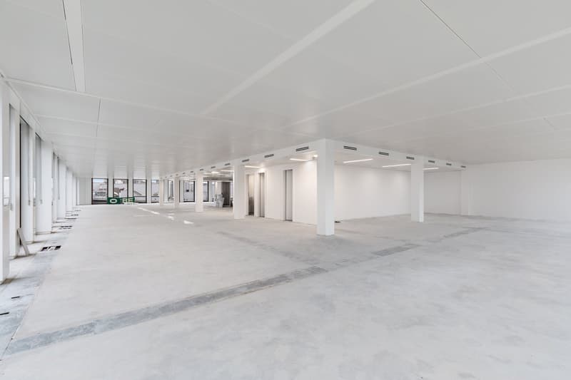 A louer - surface de bureaux au rez-de-chaussée (6)