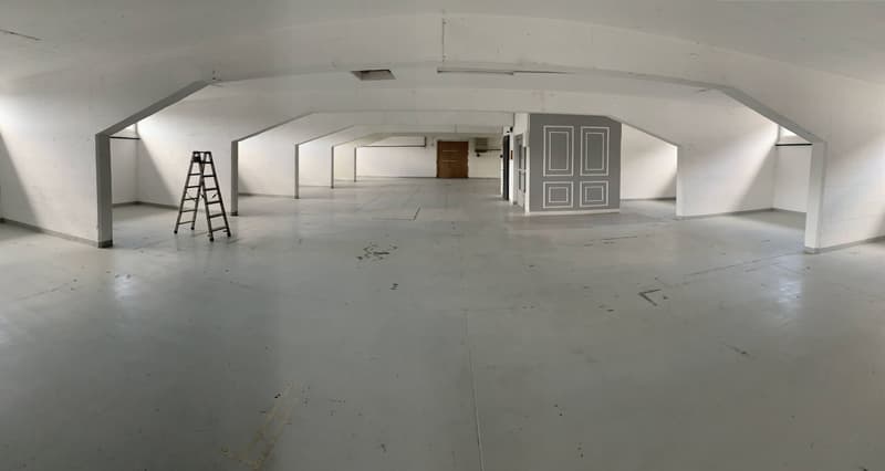 Atelier/dépôt de 900 m2 accès quai de chargement Bussigny à louer (1)